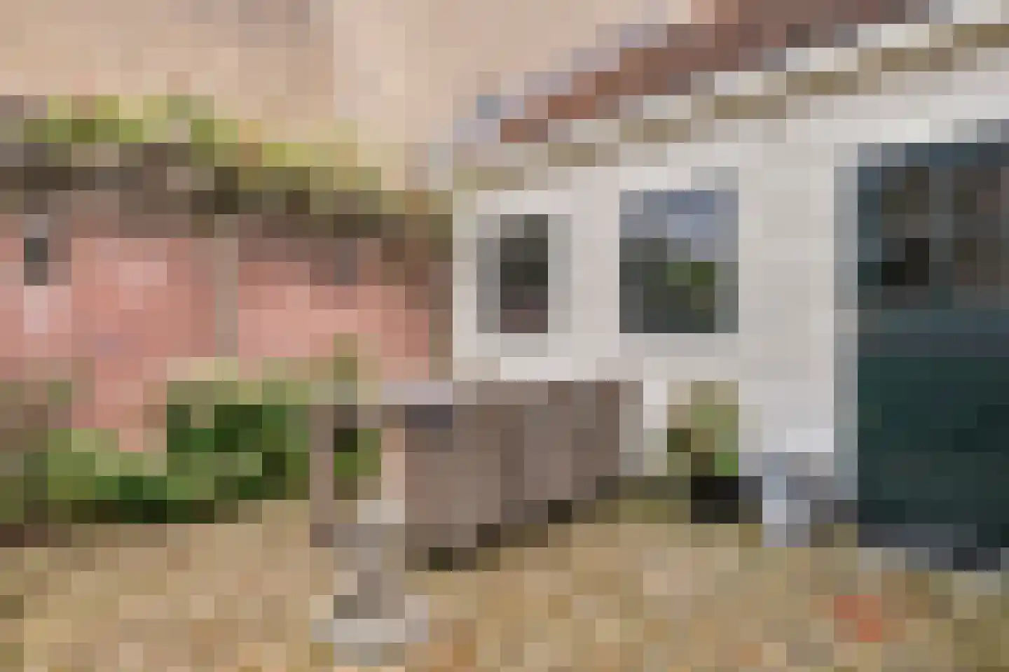 Kade 2 Piershil thumbnail 48