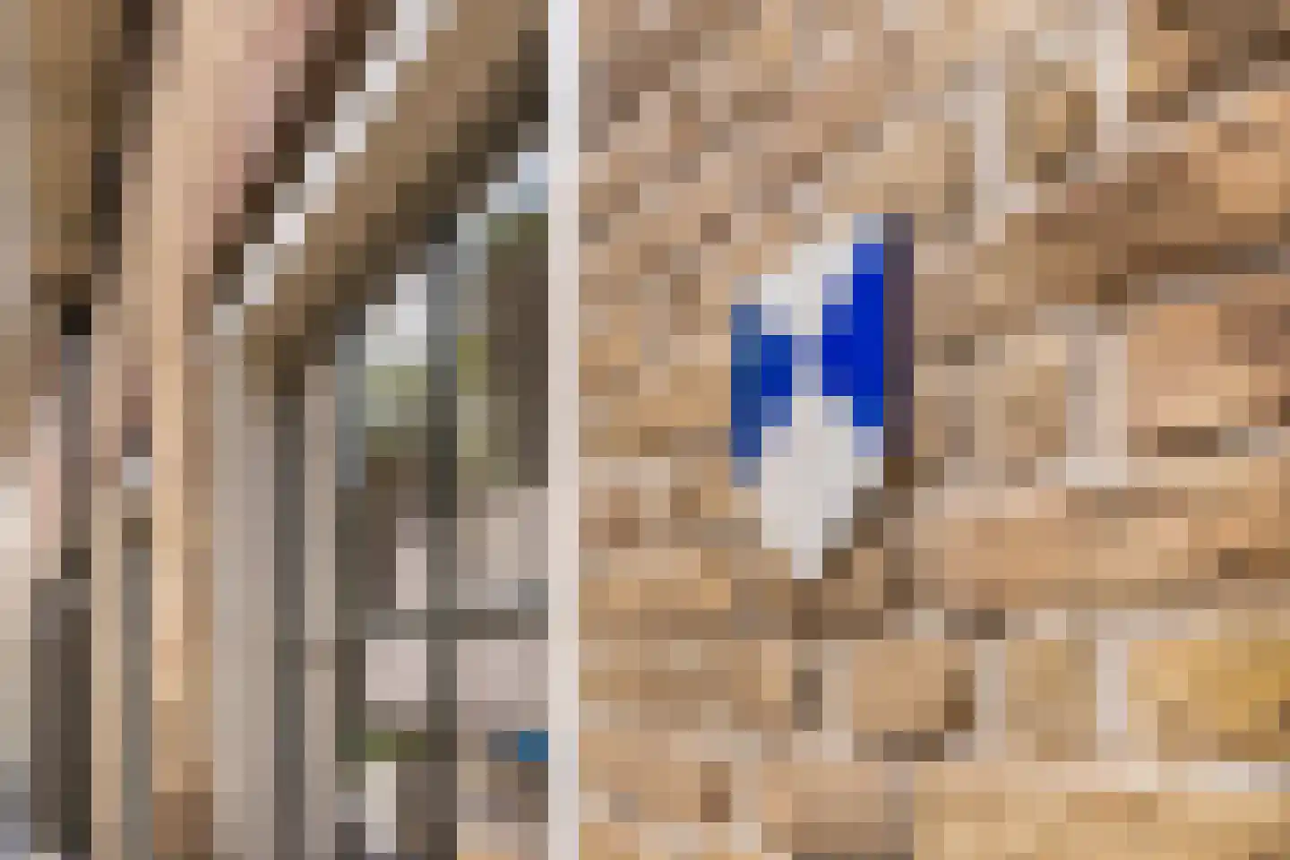 Kade 2 Piershil thumbnail 50