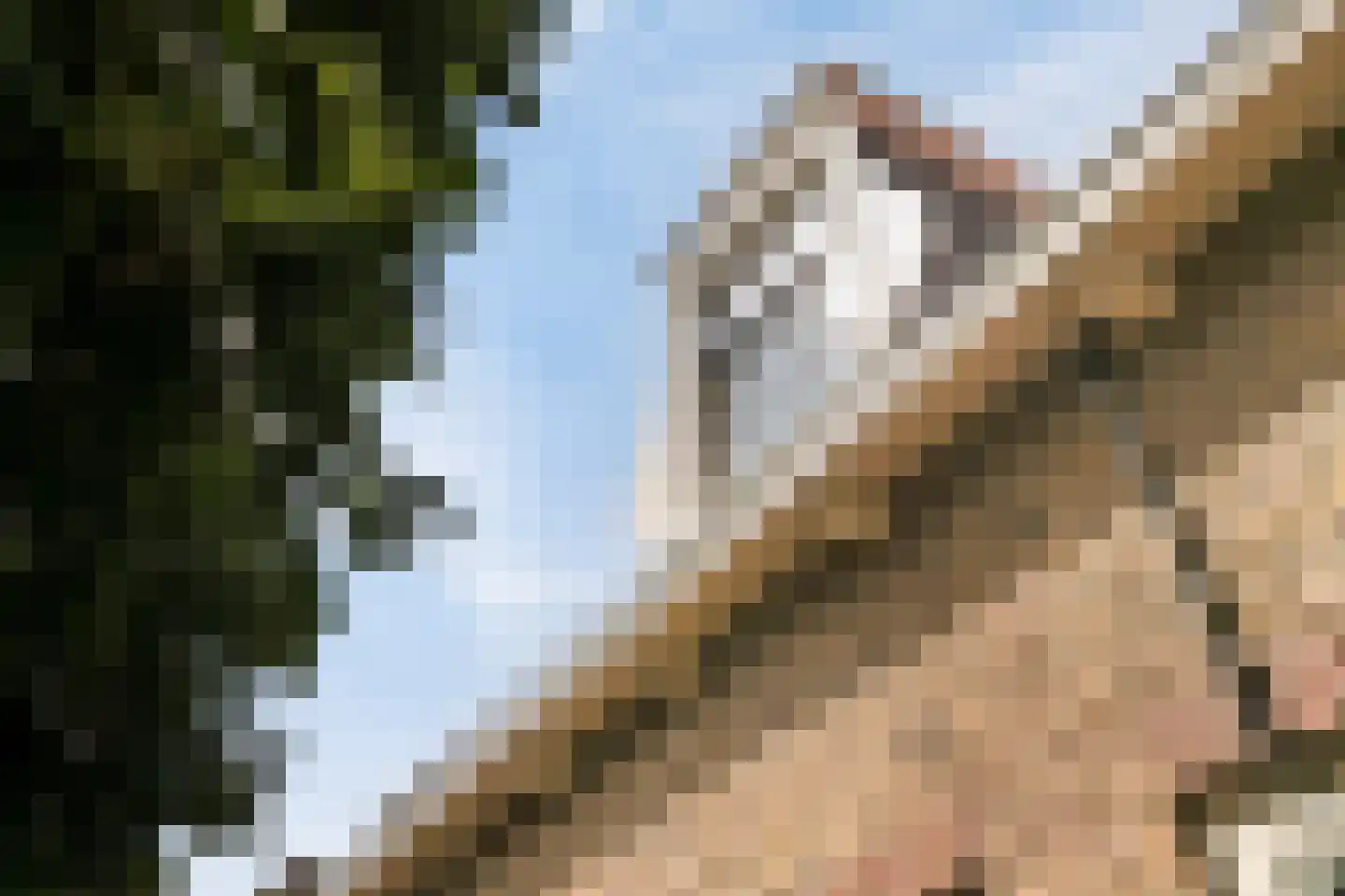 Kade 2 Piershil thumbnail 51