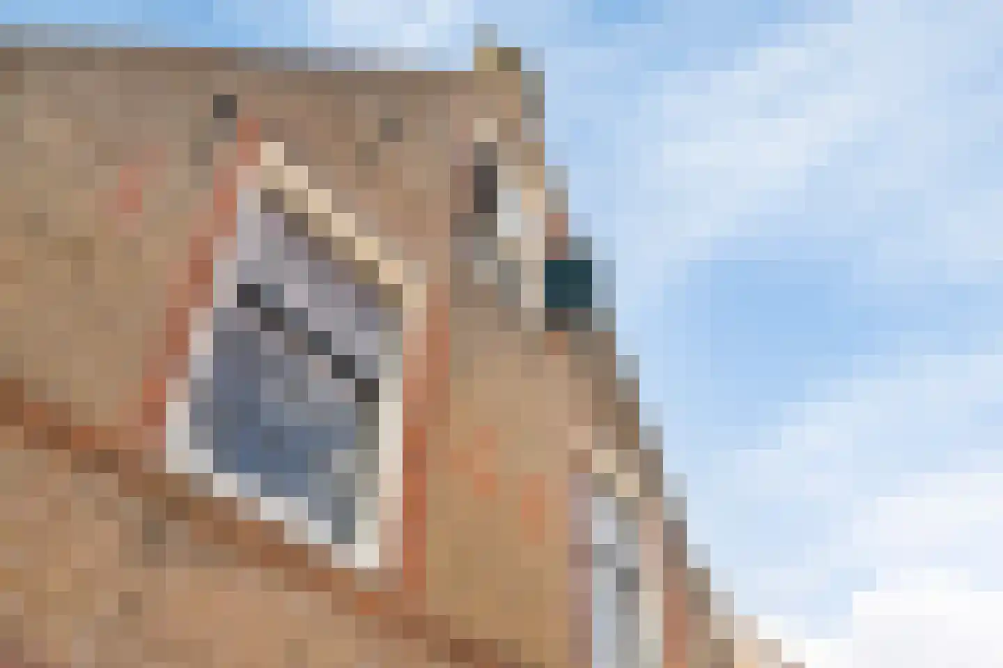 Kade 2 Piershil thumbnail 53