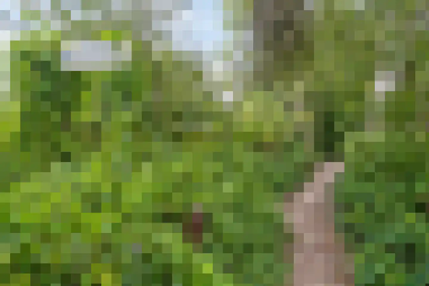 Kade 2 Piershil thumbnail 56