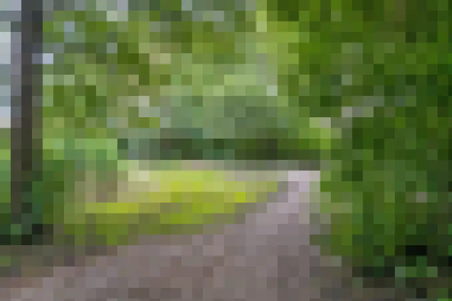 Kade 2 Piershil thumbnail 58