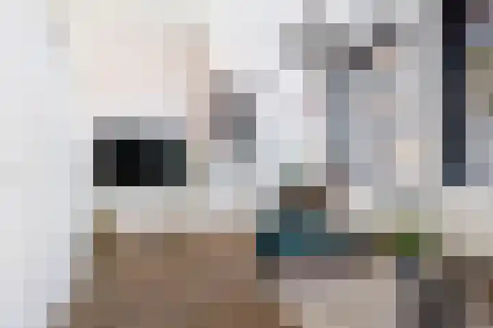 Kade 25 Oudenbosch thumbnail 11