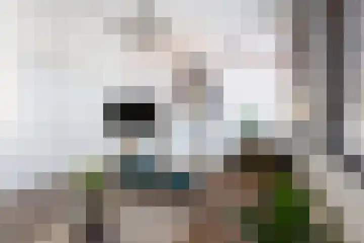 Kade 25 Oudenbosch thumbnail 13