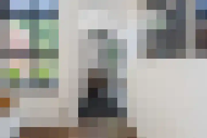 Kade 25 Oudenbosch thumbnail 18
