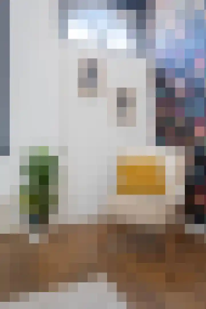 Kade 25 Oudenbosch thumbnail 22