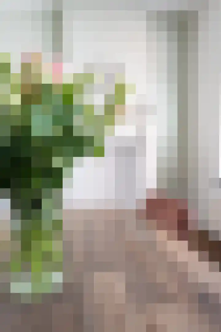 Kade 25 Oudenbosch thumbnail 23