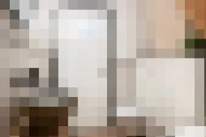 Kade 25 Oudenbosch thumbnail 39