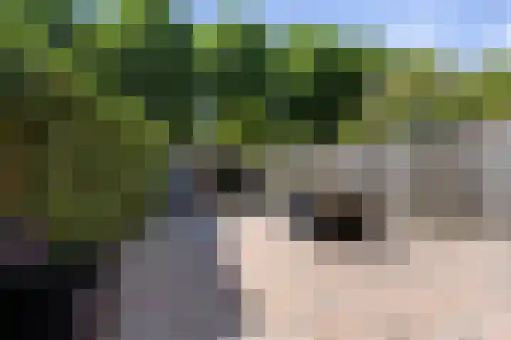 Kade 25 Oudenbosch thumbnail 49