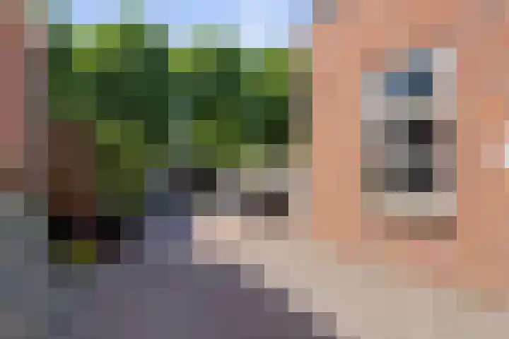 Kade 25 Oudenbosch thumbnail 6