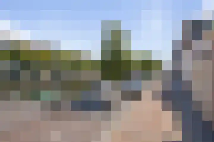 Kade 25 Oudenbosch thumbnail 60