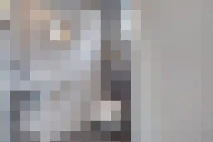 Kade 41 Vollenhove thumbnail 16