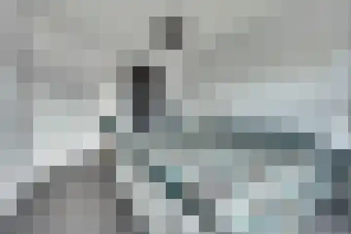 Kade 41 Vollenhove thumbnail 19
