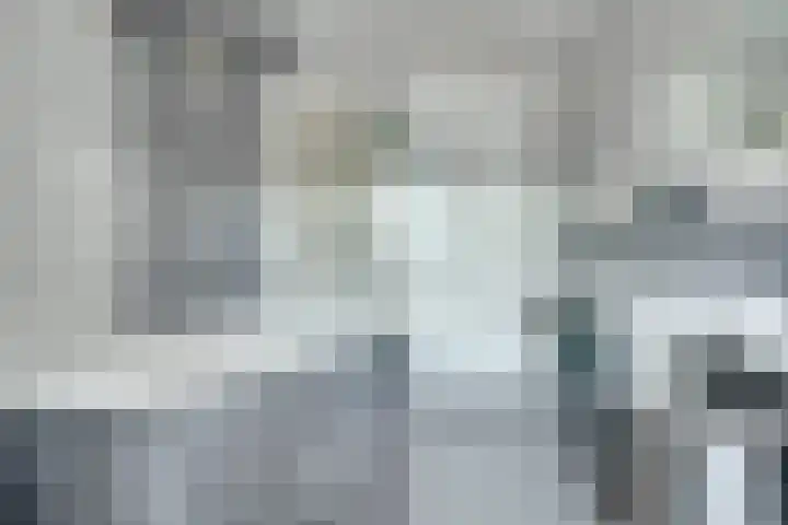 Kade 41 Vollenhove thumbnail 26