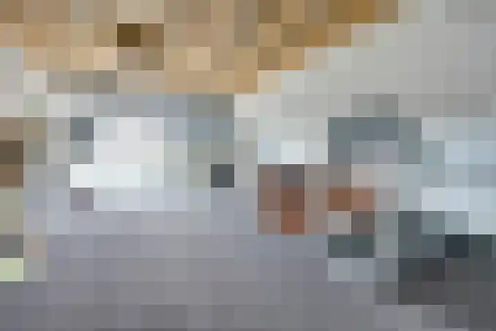 Kade 41 Vollenhove thumbnail 29