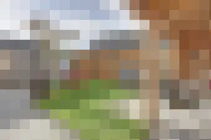 Kade 41 Vollenhove thumbnail 31