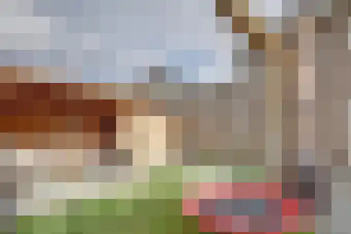 Kade 41 Vollenhove thumbnail 32
