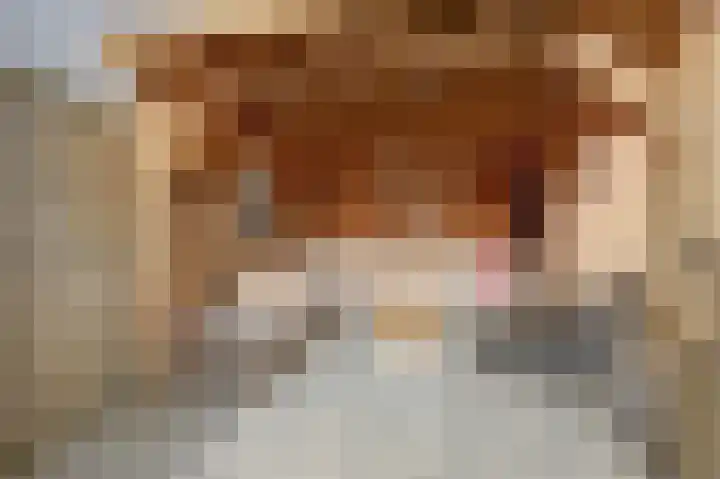 Kade 41 Vollenhove thumbnail 33