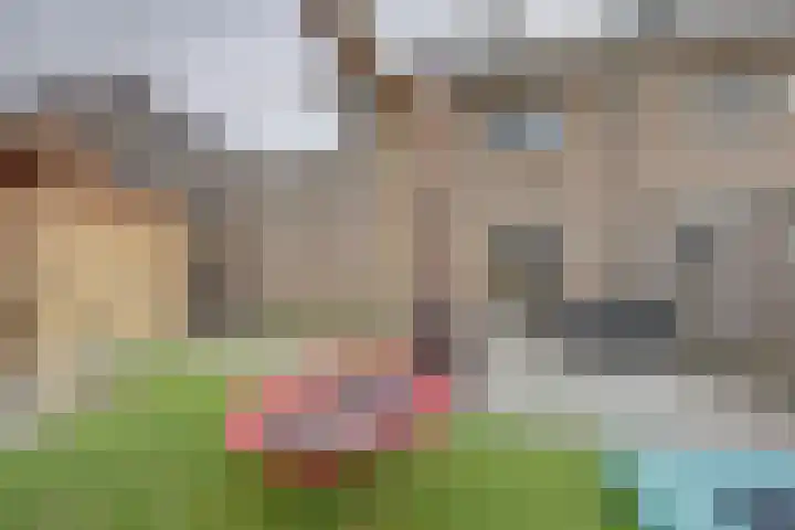 Kade 41 Vollenhove thumbnail 34