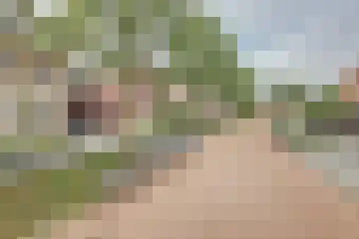 Kade 41 Vollenhove thumbnail 4