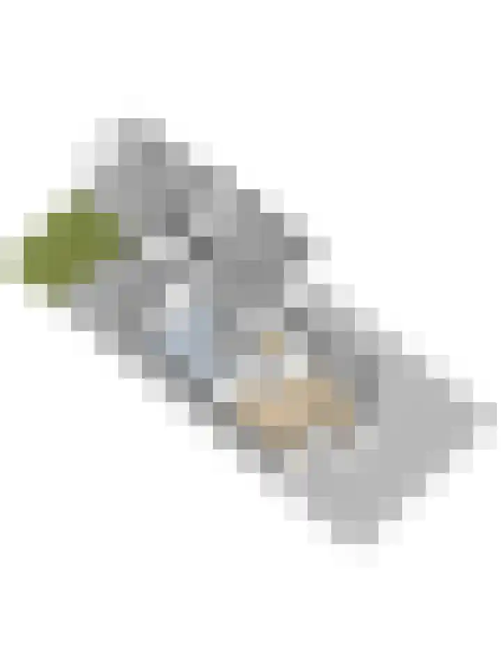 Kade 41 Vollenhove thumbnail 47