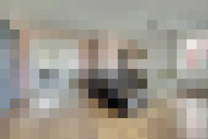 Kade 41 Vollenhove thumbnail 7