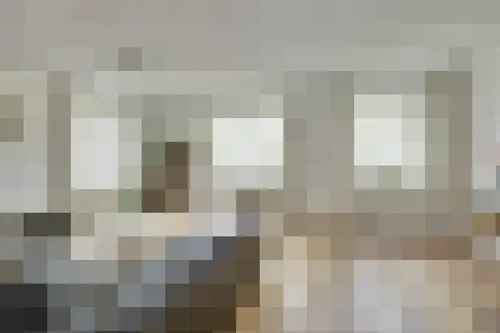 Kade 41 Vollenhove thumbnail 9