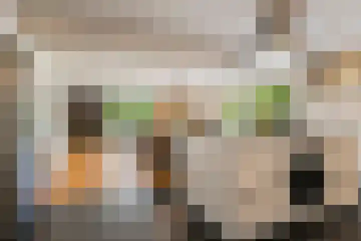 Kade 5 Ede thumbnail 17