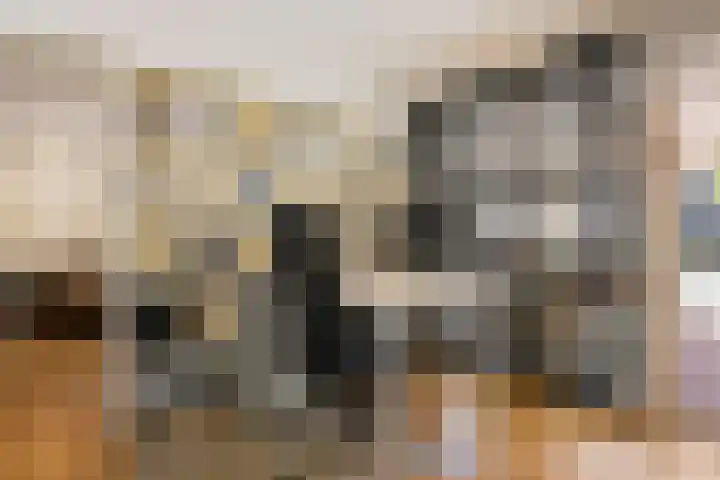 Kade 5 Ede thumbnail 27