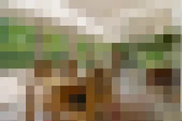 Kade 5 Ede thumbnail 28