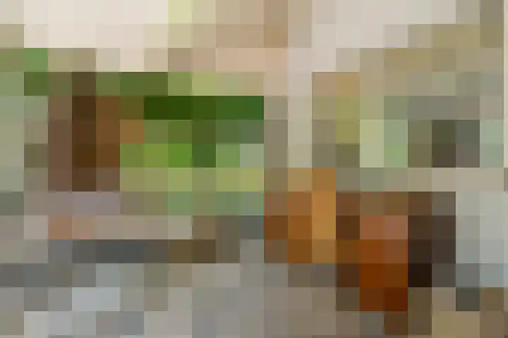 Kade 5 Ede thumbnail 29