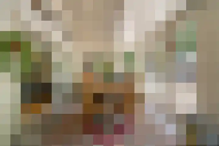 Kade 5 Ede thumbnail 30