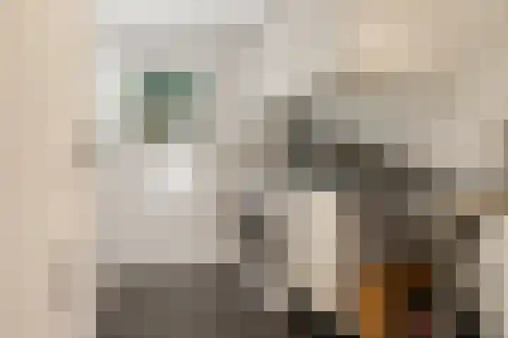 Kade 5 Ede thumbnail 31