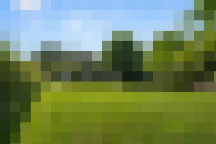 Kade 5 Ede thumbnail 4