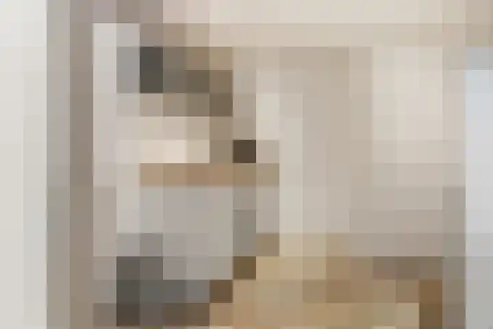 Kade 5 Ede thumbnail 49