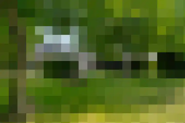 Kade 5 Ede thumbnail 58