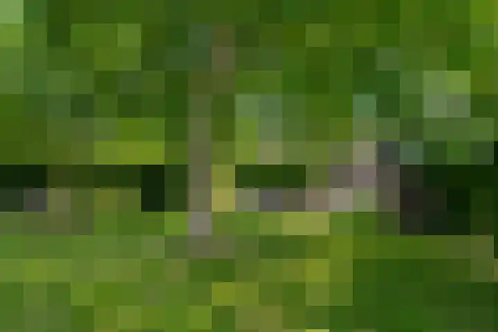 Kade 5 Ede thumbnail 59