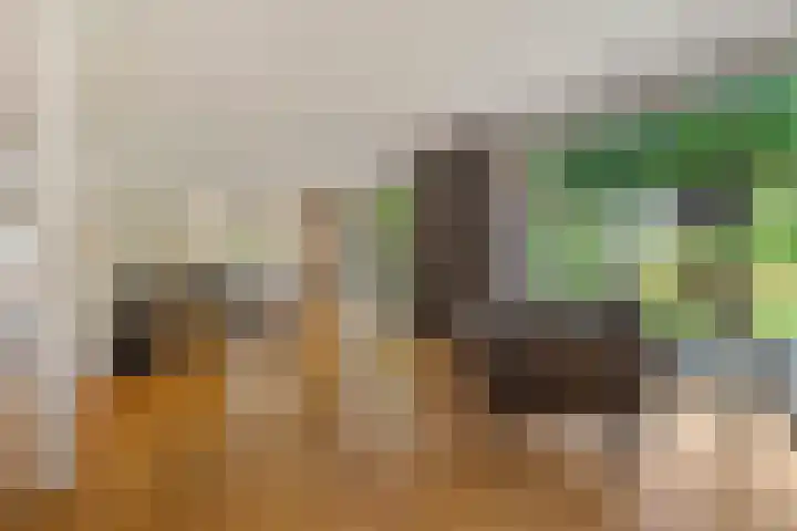 Kade 5 Ede thumbnail 6