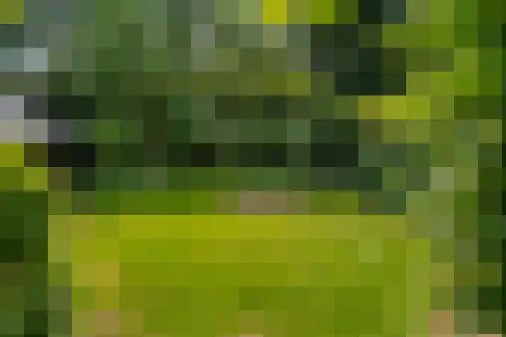 Kade 5 Ede thumbnail 60