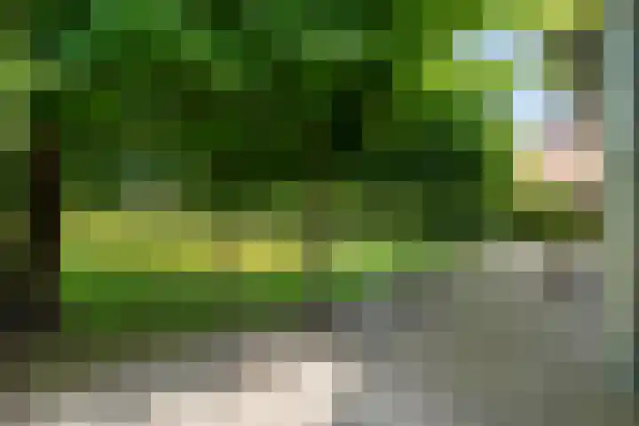 Kade 5 Ede thumbnail 61