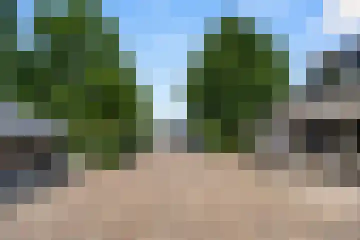 Kade 5 Ede thumbnail 62