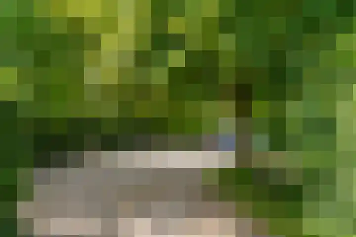 Kade 5 Ede thumbnail 64