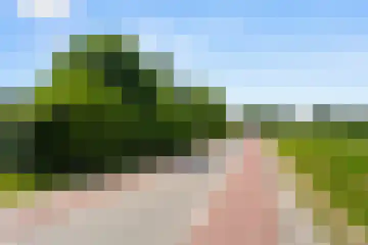 Kade 5 Ede thumbnail 65