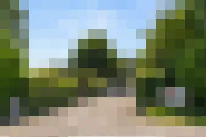 Kade 5 Ede thumbnail 7