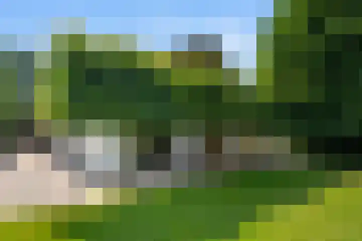 Kade 5 Ede thumbnail 8