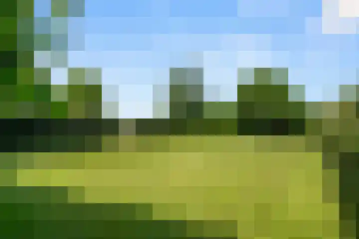 Kade 5 Ede thumbnail 9