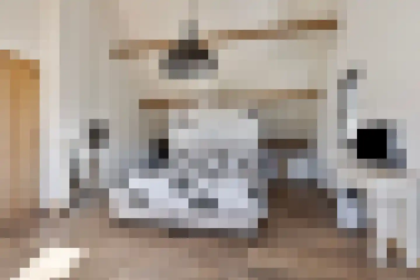 Kade 61 Rucphen thumbnail 31