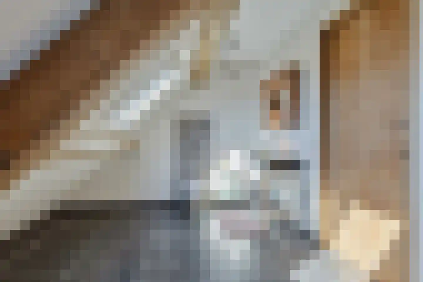 Kade 61 Rucphen thumbnail 35