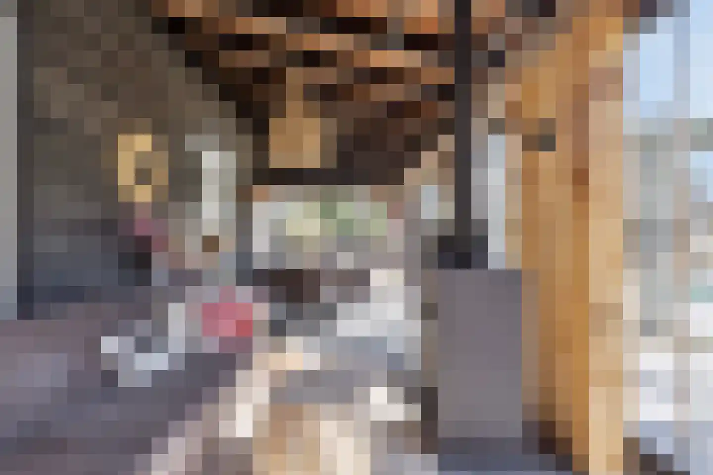Kade 61 Rucphen thumbnail 47