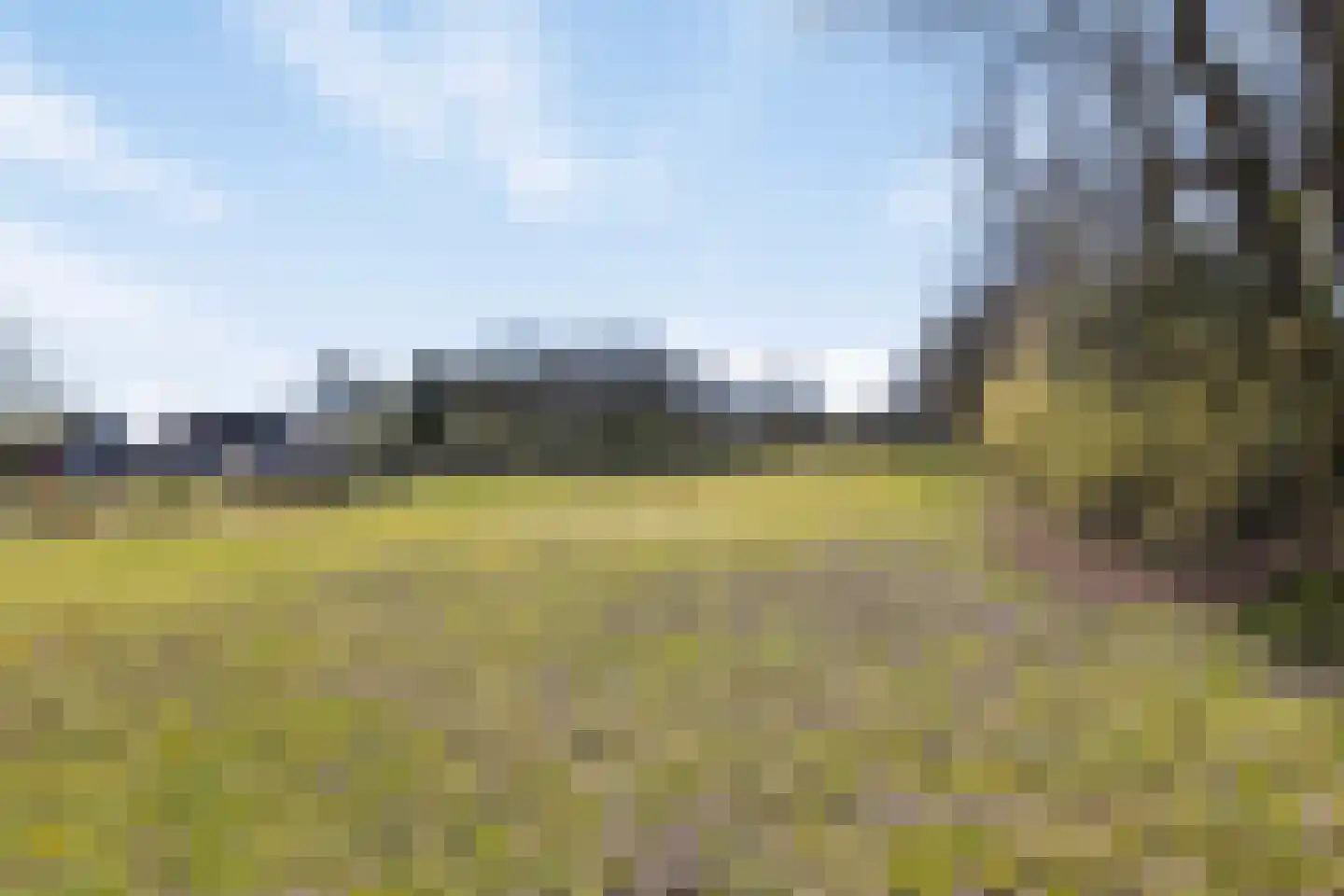 Kade 61 Rucphen thumbnail 57